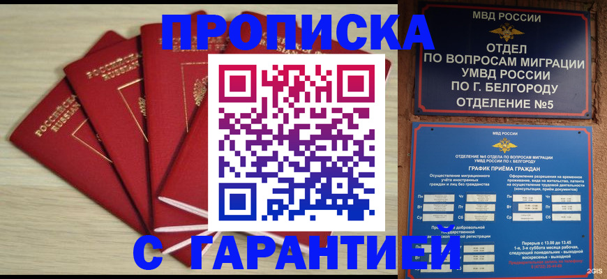 миграционный учет в Белгородской области